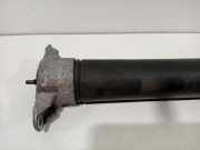 Stoßdämpfer Links Hinten Ford C-Max (DXA) Großraumlimousine 1.5 TDCi 120 16V (XWDB) 2015