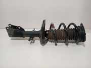 Federbein Rechts Vorne 543021842r Renault Kangoo Express (RFK) Van 1.5 Blue dCi 115 (K9K-876(K9K-U8)) 2024-11