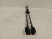 Gasdruckfedern Set Hinten 2990136 BMW X1 (E84) SUV sDrive 18d 2.0 16V (N47-D20C) 2011