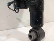 Sto?d?mpfer Rechts Hinten 462400014183 BMW X7 SUV xDrive M50i 4.4 V8 32V (N63-B44D) 2019-11