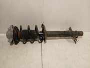 Federbein Rechts Vorne 50707867 Citroën Jumper (U9) Ch.Cab/Pick-up 2.2 HDi 120 Euro 4 (P22DTE(4HU)) 2010