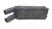 Ladeluftkühler Radiator 9651184880 Peugeot 207/207+ (WA/WC/WM) Schrägheck 1.6 HDi 16V (DV6ATED4(9HX)) 2006-12