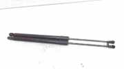 Gasdruckfedern Set Hinten 5G6827550G Volkswagen Golf VII (AUA) Schrägheck 1.6 TDI BMT 16V (DGTE) 2019-05 DGTE