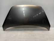 Motorhaube Kia Picanto (TA) Schrägheck 1.0 12V (G3LA) 2013-04