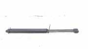 Gasdruckfeder Set Vorne 60688574 Alfa Romeo Brera (939) Coupé 2.4 JTDM 20V (939.A.3000(Euro 4)) 2006