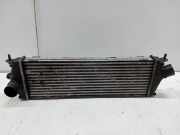 Ladeluftkühler Radiator 8200411160C Nissan Primastar Van 2.0 dCi 120 (M9R-782) 2011-04