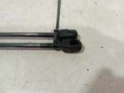 Gasdruckfedern Set Hinten 1S6827550D Volkswagen Up! (121) Schrägheck 1.0 12V 60 (CHYA) 2012 CHYA