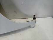 Kotflügel Rechts Vorne Renault Twingo II (CN) Schrägheck 3-drs 1.2 16V (D4F-764(D4F-E7)) 2011