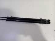 Gasdruckfedern Set Hinten 5H9827550B Volkswagen Golf VIII Variant (GC5) Kombi 1.0 eTSI 12V (DLAA) 2023 DLAA