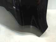 Kotfl?gel Links Vorne Porsche Cayenne (9PA) SUV 3.2 V6 24V (M02.2Y) 2006-02