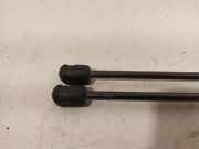 Gasdruckfedern Set Hinten Skoda Fabia II (5J) Schrägheck 5-drs 1.2i 12V (CGPA) 2010