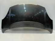 Motorhaube Fiat 500L (199) Großraumlimousine 1.3 D 16V Multijet (199.B.4000(Euro 5)) 2013-08