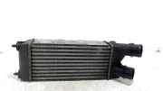 Ladeluftkühler Radiator 9682434580 Peugeot Partner Tepee (7A/B/C/D/E/F/G/J/P/S) Großraumlimousine 1.6 HDI 90 16V Phase 1 (DV6ATED4(9HX)) 2009-09