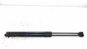 Gasdruckfedern Set Hinten 5JA827550D Skoda Rapid Spaceback Kombi 1.0 TSI 12V (DKRC) 2019-01