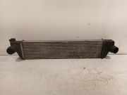 Ladeluftkühler Radiator 144960015R Opel Movano Van 2.3 CDTi 16V FWD (M9T-880) 2013-04