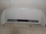 Motorhaube Citroën Jumpy (G9) Van 1.6 HDI 16V (DV6UTED4(9HU)) 2010