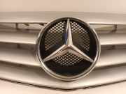 Grill a1698800183 Mercedes-Benz B (W245) Schrägheck 2.0 B-180 CDI 16V (OM640.940(Euro 4)) 2007-06