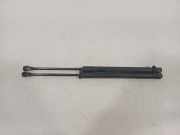 Gasdruckfedern Set Hinten 51247060622 BMW 1 serie (E87/87N) Schrägheck 5-drs 116d 16V (N47-D20A) 2009