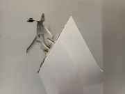 Kotflügel Links Vorne Citroën DS3 (SA) Schrägheck 1.2 12V PureTech 82 (EB2F(HMZ)) 2014-01