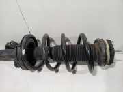 Federbein Links Vorne BK2118045JA Ford Transit Custom Van 2.2 TDCi 16V (CVFF(Euro 5)) 2013