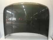 Motorhaube Land + Range Rover Range Rover Sport (LS) Geländewagen 2.7 TDV6 24V (276DT) 2007