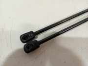 Gasdruckfeder Set Vorne 32206883 Volvo XC40 (XZ) SUV 2.0 T4 Geartronic 16V (B4204T47) 2020