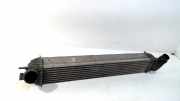 Ladeluftkühler Radiator 144610001N Renault Laguna III (BT) Schrägheck 5-drs 1.5 dCi 110 (K9K-780) 2010
