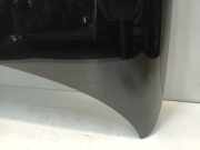 Motorhaube Fiat Panda/Pandina (312) Schrägheck 0.9 TwinAir Turbo 85 (312.A.2000) 2012-04