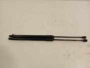 Gasdruckfedern Set Hinten 904508213R Renault Clio V (RJAB) Schrägheck 5-drs 1.0 TCe 100 12V (H4D-450) 2019