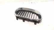 Grill Gitter Links BMW 5 serie (E60) Limousine 530d 24V (M57N-D30(306D2)) 2003