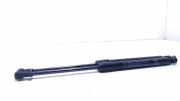Gasdruckfeder Set Vorne 51923979 Fiat 500L (199) Großraumlimousine 1.3 D 16V Multijet (199.B.4000(Euro 5)) 2013-12