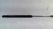 Gasdruckfedern Set Hinten Citroën C3 (SC) Schrägheck 5-drs 1.6 HDi 16V 92 (DV6DTED/EU5(9HP)) 2012