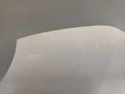 Motorhaube Citro?n C1 Schr?gheck 1.0 12V (384F(CFA)) 2012-04 384F(CFA)