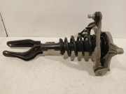 Federbein Links Vorne 104436300F Tesla Model 3 Limousine Long Range AWD 75 kWh (3D5) 2019-03