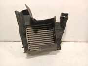 Ladeluftkühler Radiator 8200369311 Renault Wind (EN/E4) Cabrio 1.2 16V TCE (D4F-782(D4F-K7)) 2010
