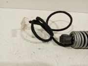 Gasdruckfeder Rechts Hinten 712013801 BMW 5 serie (F10) Limousine 530d 24V (N57-D30A) 2010