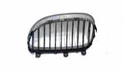 Grill Gitter Rechts 51137065702 BMW 5 serie Touring (E61) Kombi 530d 24V (M57N-D30(306D2)) 2004-04