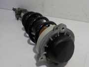 Federbein Links Vorne 844905001332 Audi A4 Avant (B9) Kombi 2.0 TDI 16V Quattro (DETA) 2018