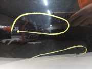 Tür Links Vorne Kia Rio III (UB) Schrägheck 1.2 CVVT 16V (G4LA5) 2011-10