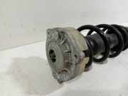 Federbein Links Vorne 8W0413031BH Audi A4 Avant (B9) Kombi 3.0 TDI V6 24V (CSWB) 2017