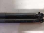 Gasdruckfeder Set Vorne 654704597R Renault Scénic IV (RFAJ) Großraumlimousine 1.2 TCE 130 16V (H5F-408(H5F-F4)) 2017