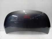 Motorhaube Hyundai i10 (F5) Schrägheck 1.1i 12V (G4HG) 2008