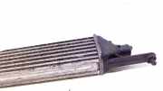 Ladeluftk?hler Radiator Fiat Grande Punto (199) Schr?gheck 1.3 JTD Multijet 16V (199.A.2000) 2006-10