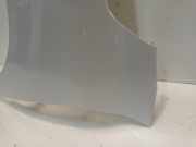 Kotflügel Links Vorne Peugeot 208 II (UB/UH/UP) Schrägheck 5-drs 1.2 Vti 12V PureTech 75 (EB2FAD(HMH)) 2020