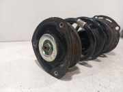 Federbein Rechts Vorne 5wa413031BD Volkswagen Golf VIII (CD1) Schr?gheck 2.0 TSI R 16V 4Motion (DNFG) 2021-09 DNFG