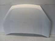 Motorhaube Fiat Doblo Cargo (263) Van 1.6 D Multijet (198.A.3000) 2010-09