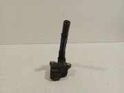 Zündspule Mercedes-Benz C Estate (S205) Kombi C-350 e 2.0 16V (M274.920) 2015