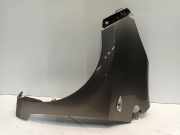 Kotflügel Links Vorne Kia Picanto (TA) Schrägheck 1.0 12V (G3LA) 2012-06