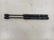 Gasdruckfeder Set Vorne 0173310380N Volvo V60 I (FW/GW) Kombi 2.0 D4 16V (D4204T14) 2015