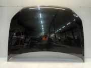 Motorhaube Volkswagen Polo V (6R) Schrägheck 1.2 TDI 12V BlueMotion (CFWA(Euro 5)) 2012-05 CFWA(Euro 5)